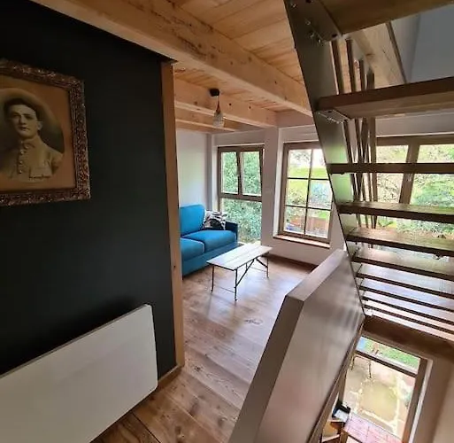 Ancien Sechoir Du 19eme Siecle * Saint-Die-des-Vosges