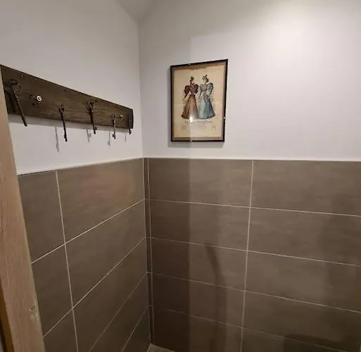 Ancien Sechoir Du 19eme Siecle * Saint-Die-des-Vosges