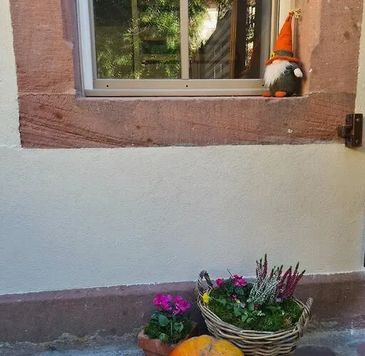 Ancien Sechoir Du 19eme Siecle *